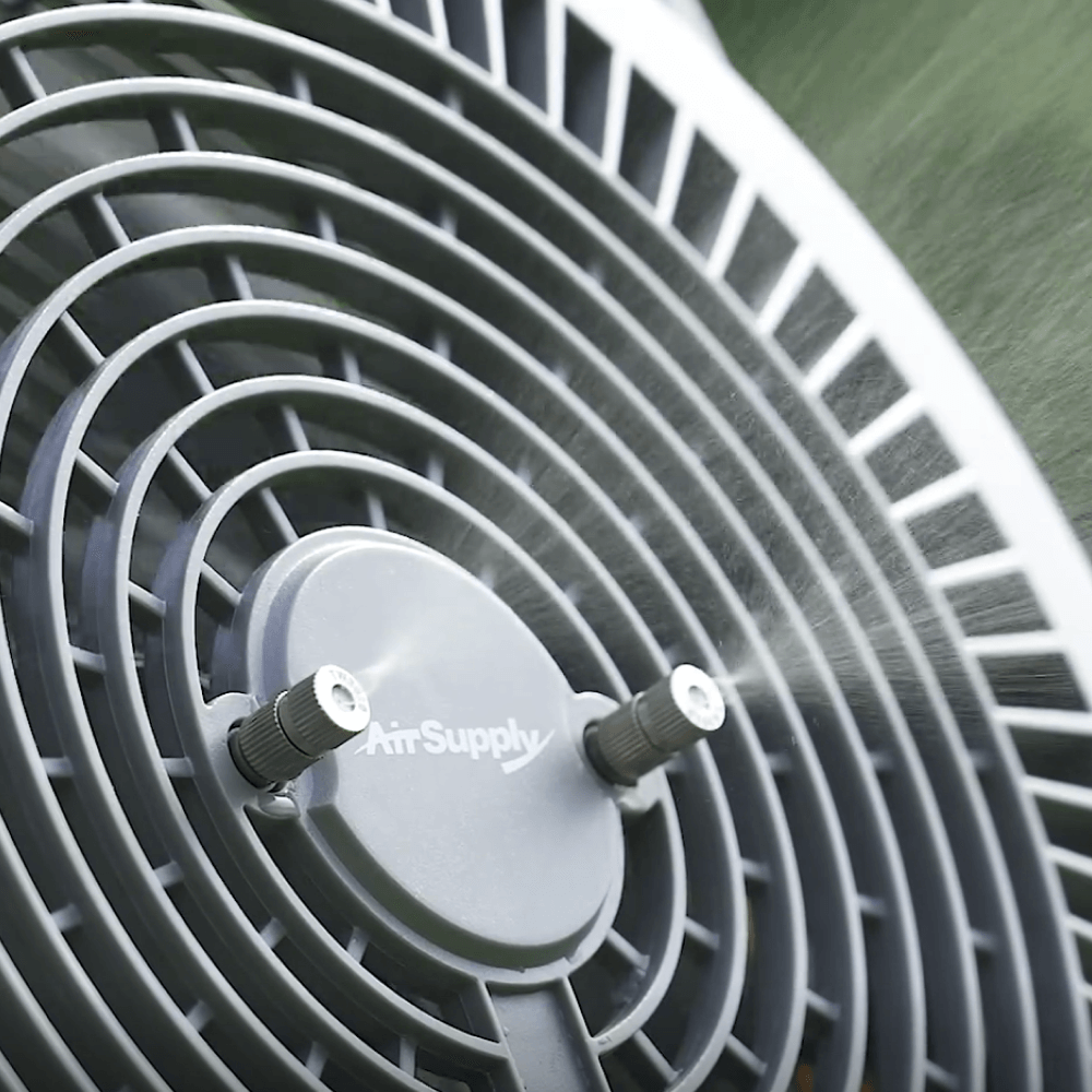 Fan