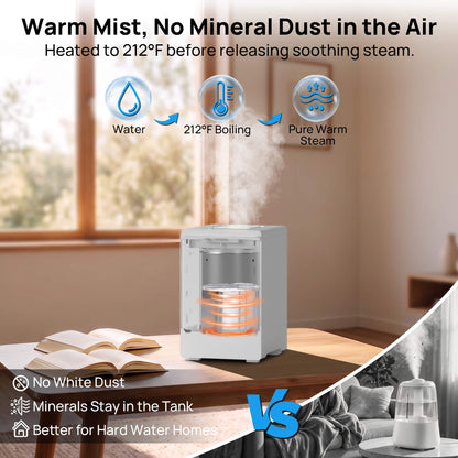 Warm Mist, No Mineral Dust in the Air