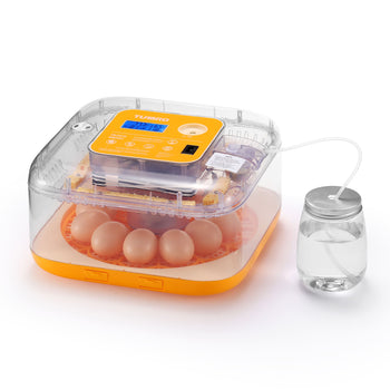 Neighborhood Egg Incubator, 12 Eggs Capacity,view 1