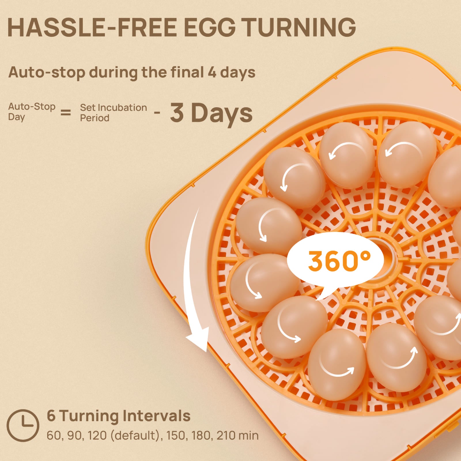 HASSLE-FREE EGG TURNING

Auto-stop during the final 4 days.
Auto-Stop Day=Set Incubation Period-3 days

6 Turning Intervals
60, 90, 120 (default), 150, 180, 210 min


360°
