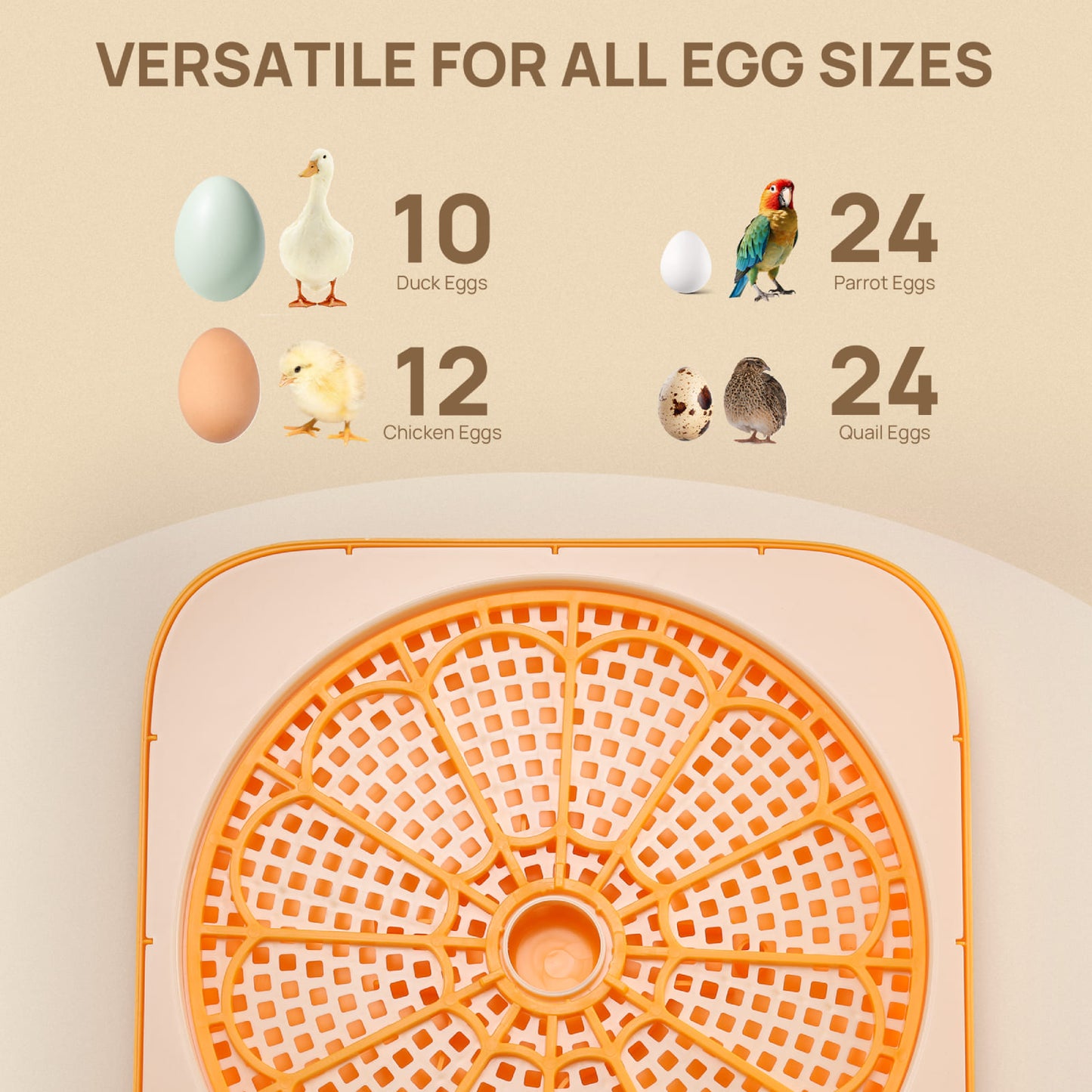 VERSATILE FOR ALL EGG SIZES

Parrot Eggs 24
Quail Eggs 24
Chicken Eggs 12
Duck Eggs 10
