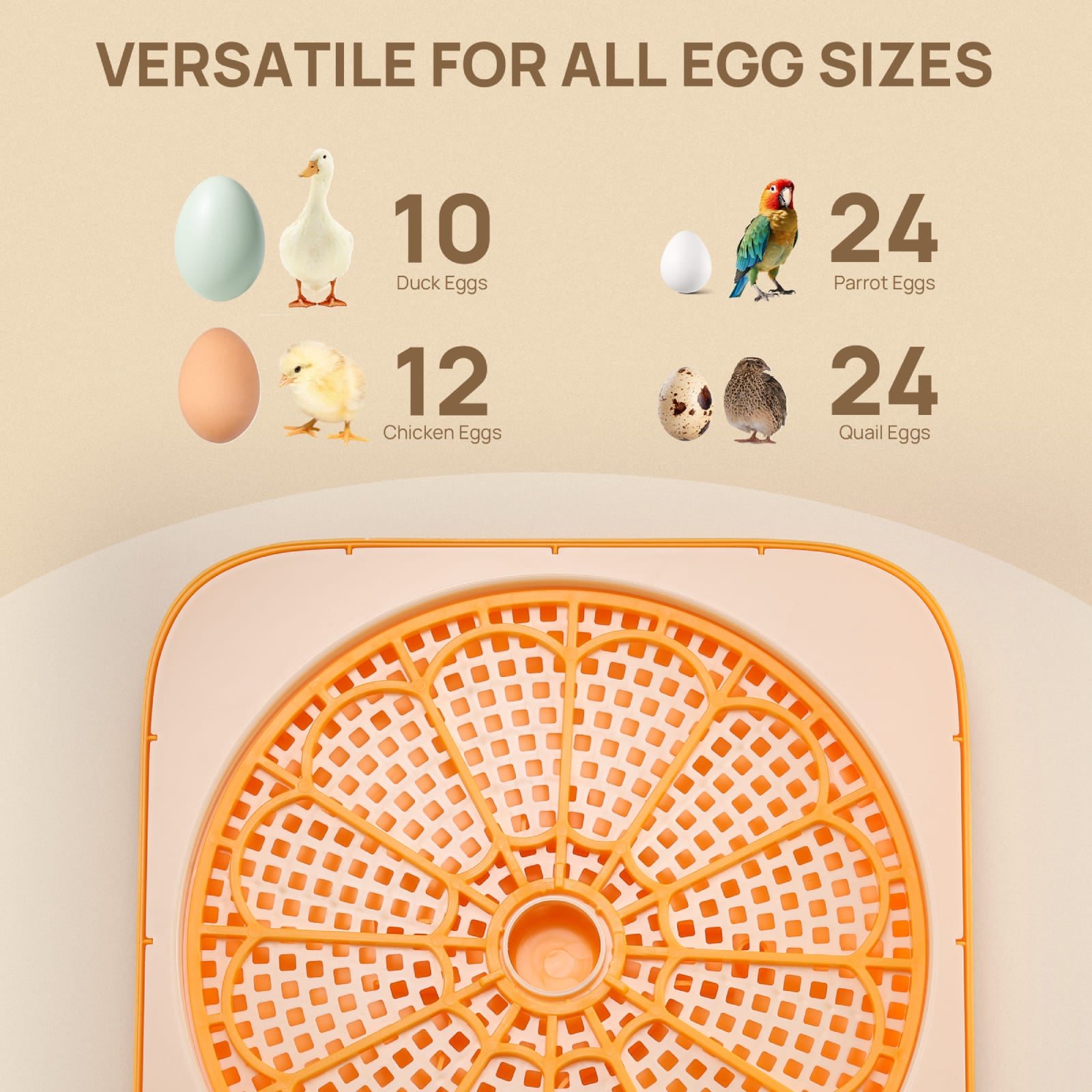 VERSATILE FOR ALL EGG SIZES

Parrot Eggs 24
Quail Eggs 24
Chicken Eggs 12
Duck Eggs 10
