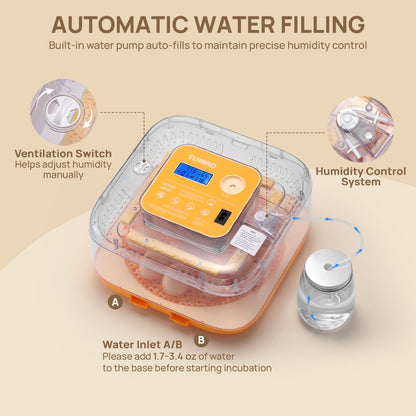 AUTOMATIC WATER FILLING
Built-in water pump auto-fills to maintain precise humidity control.

Humidity Control System

Water Inlet A/B
Please add 50-100 ml of water to the base before starting incubation.

Ventilation Switch
Helps adjust humidity manually.
