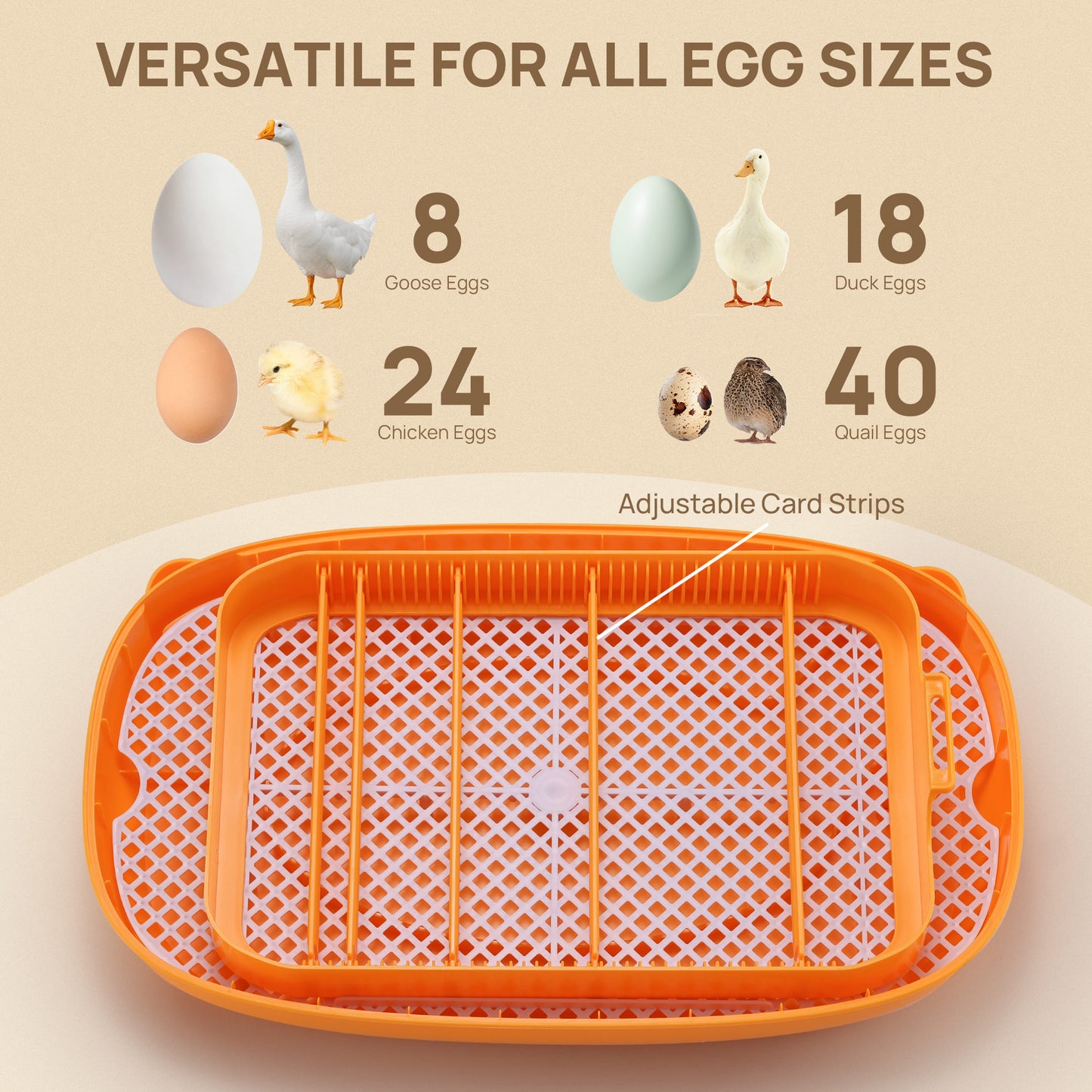 Egg storage tray with adjustable card strips, shown with various types of eggs and their quantities.