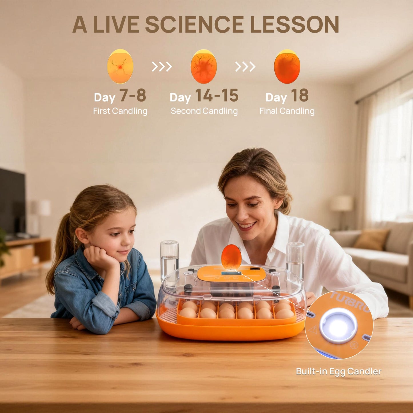 Woman and child looking at an egg incubator with a live science lesson graphic on a table.