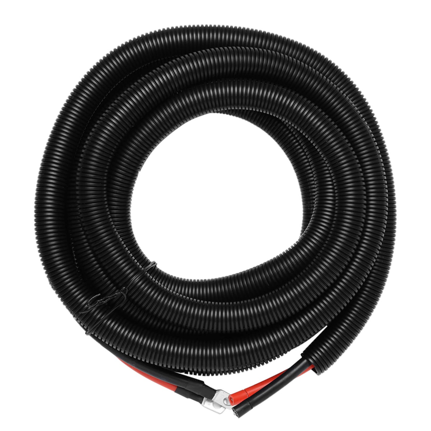 Coiled black cable with red and black connectors on a white background
