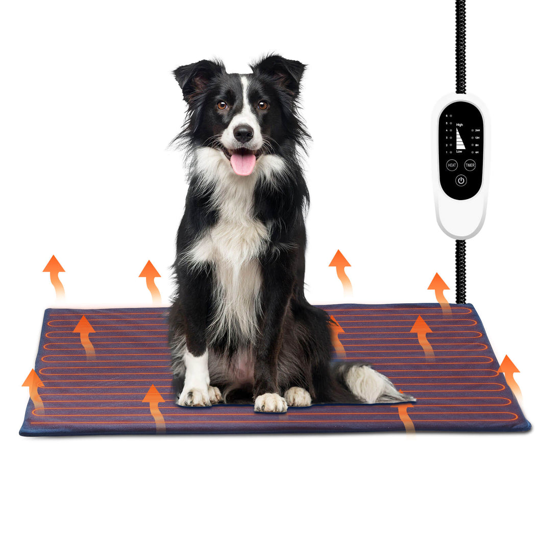 Large heated dog beds top